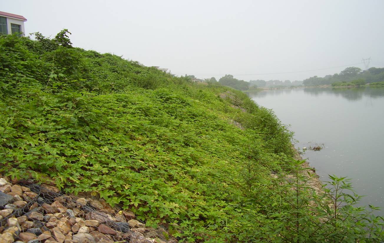 石籠網防護工程抗沖擊性的優勢特點 石籠網防護工程抗沖擊性的優勢特點